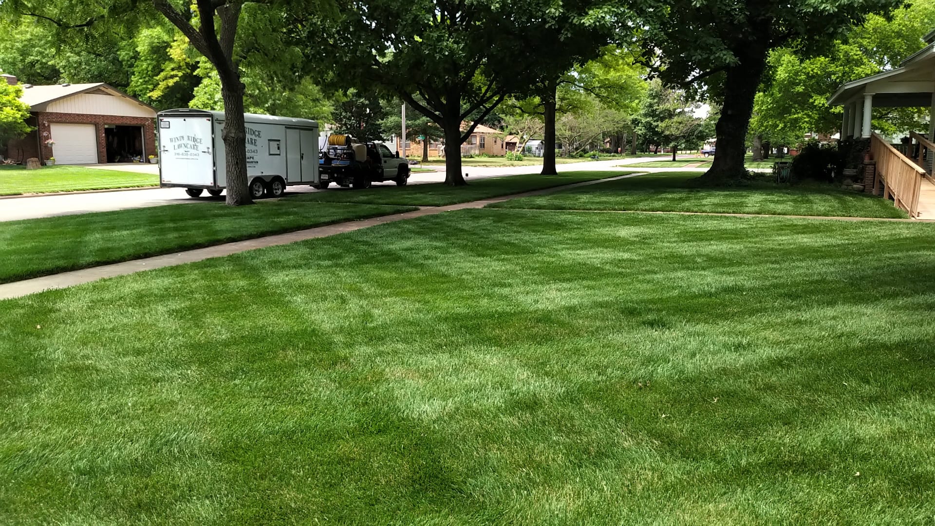 Professional lawn after split application